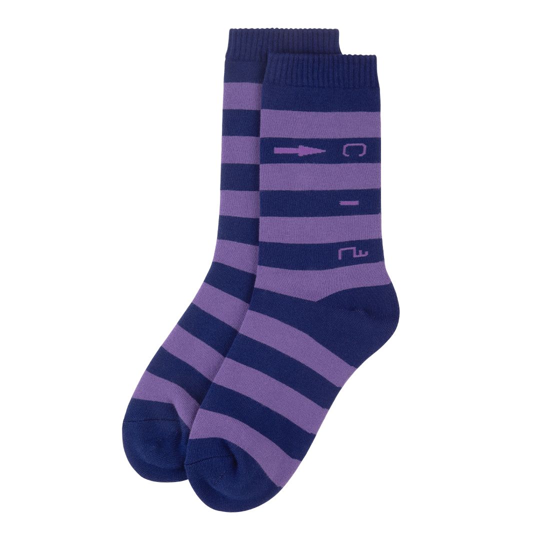→C.2 Stripe Socks Navy
