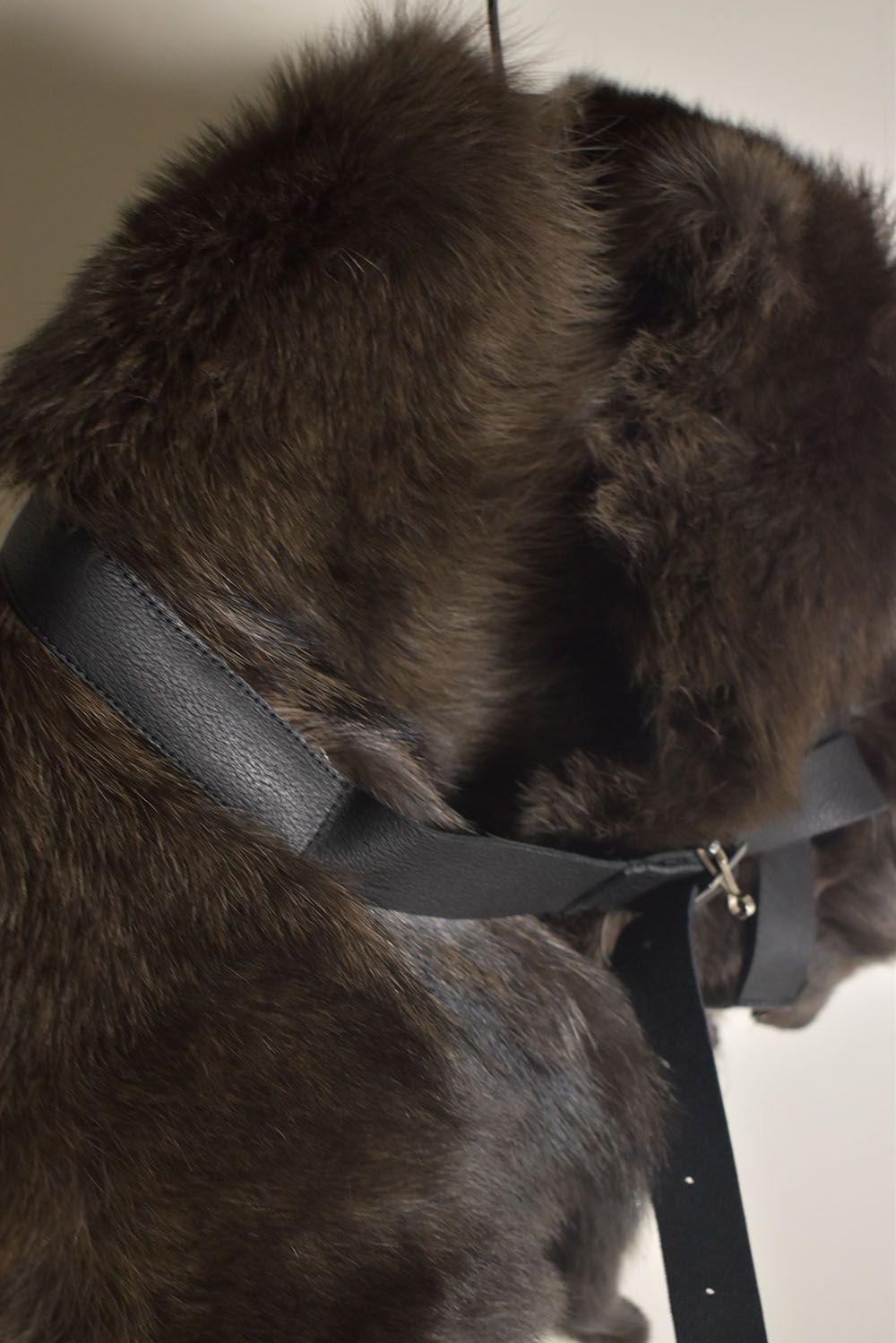 Coyote Fur Stole “Charcoal” / コヨーテファーストール"/チャコール"