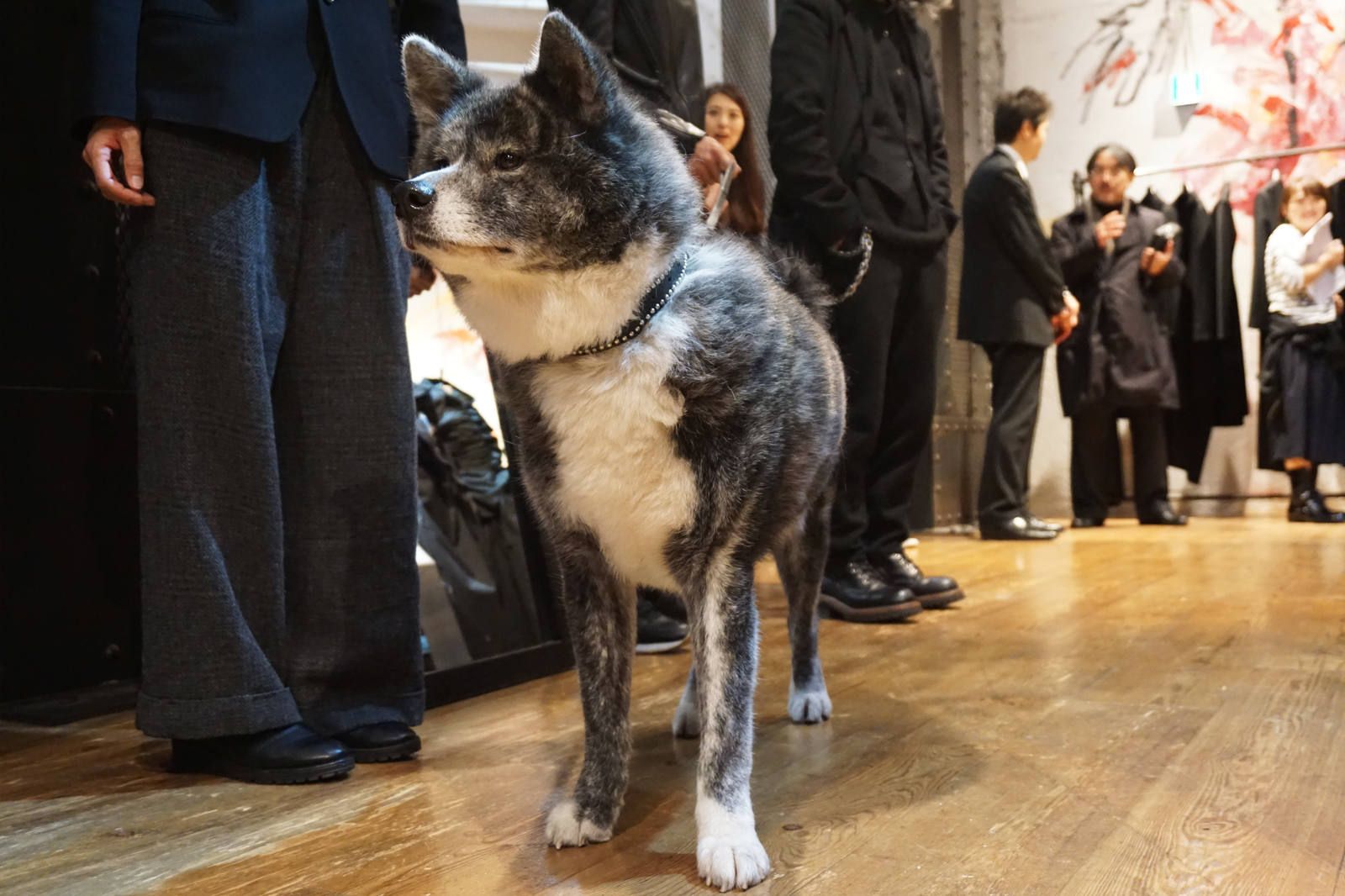 ヨウジヤマモト　ピンプローチ　犬 ALUBUS [B Yohji Yamamoto 展示会レポート] | ALUBUS / RUFUS