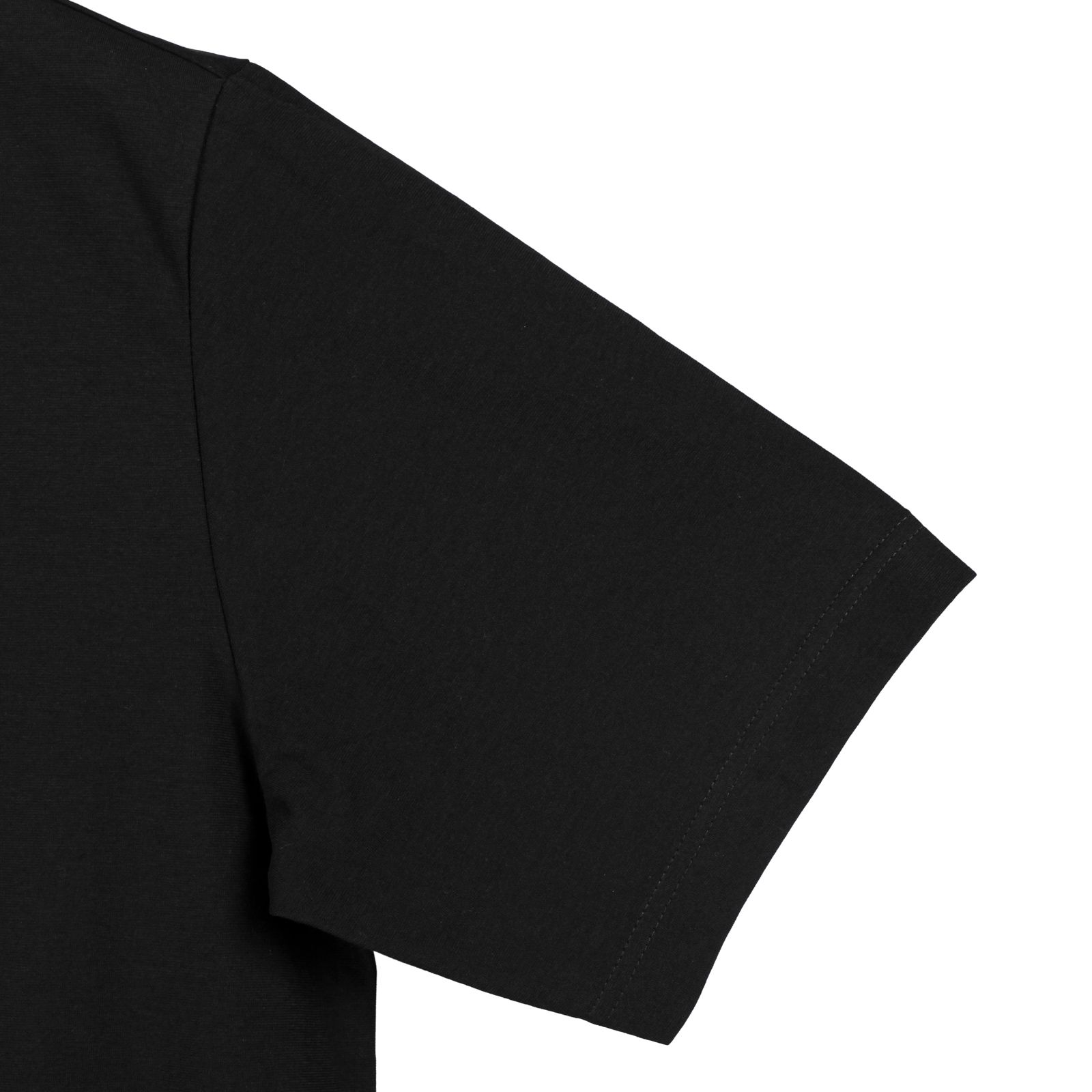 M CH1 SS TEE LRG LOGO / HG60937-APPS22