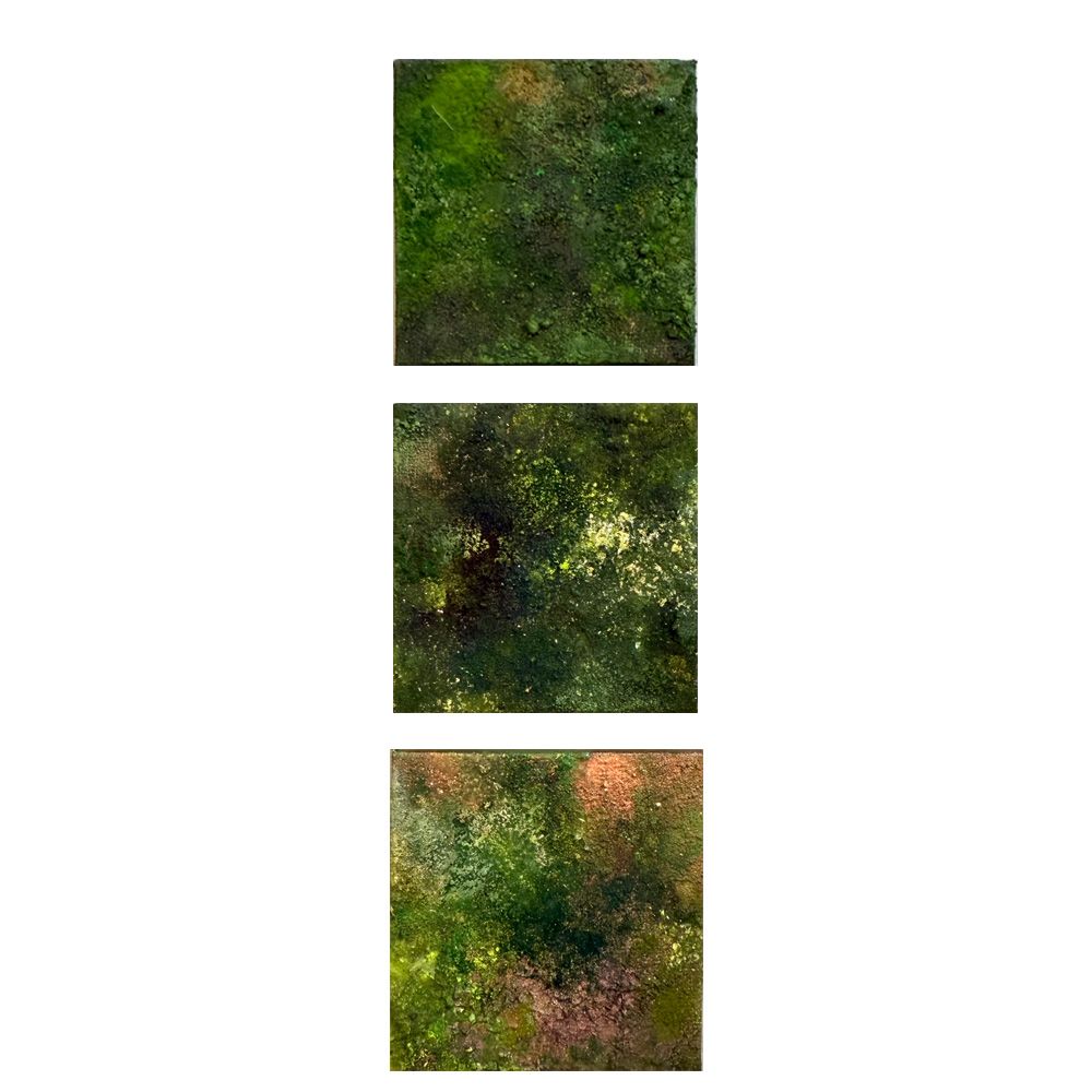 苔ー位相 II