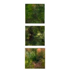 苔ー位相 II