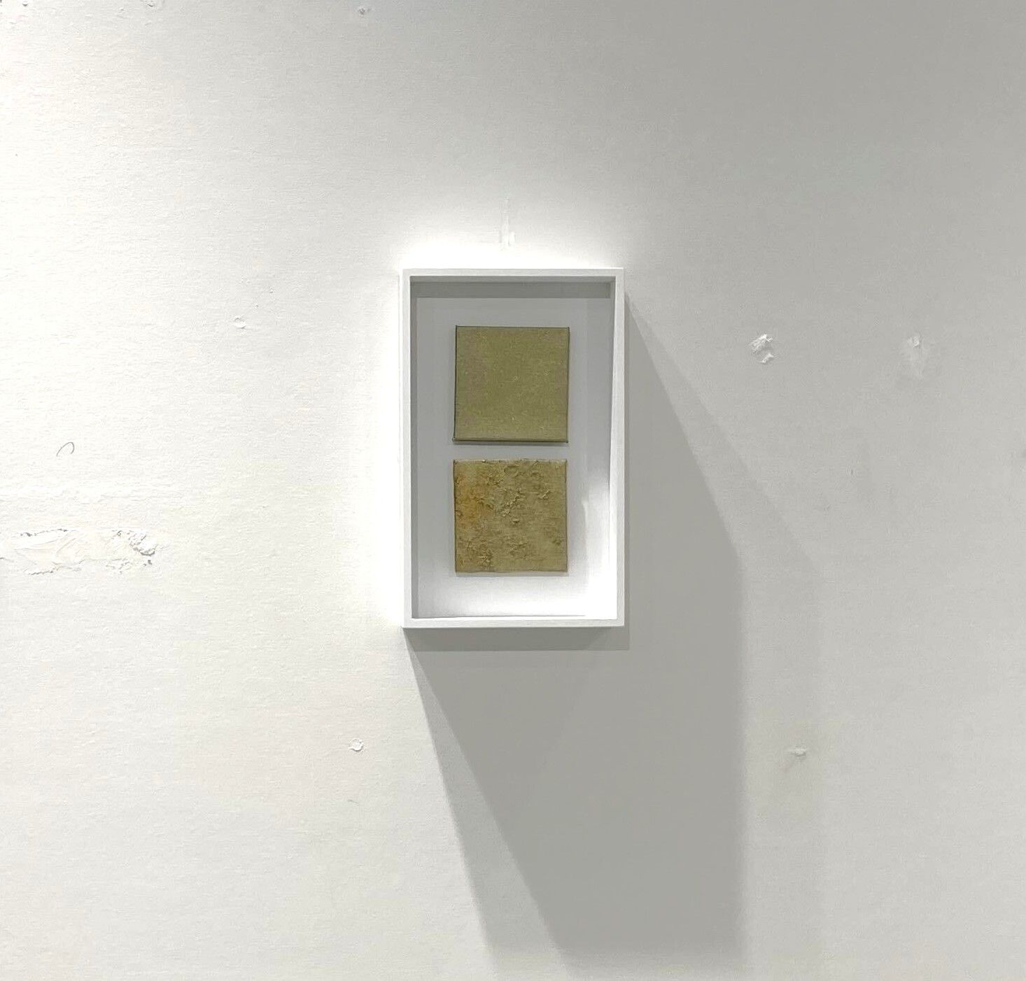 苔ー水心
