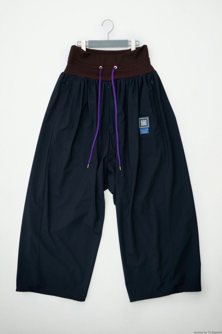 FUMITO GANRYU - extreme slacks -navy- 22aw | asterisk