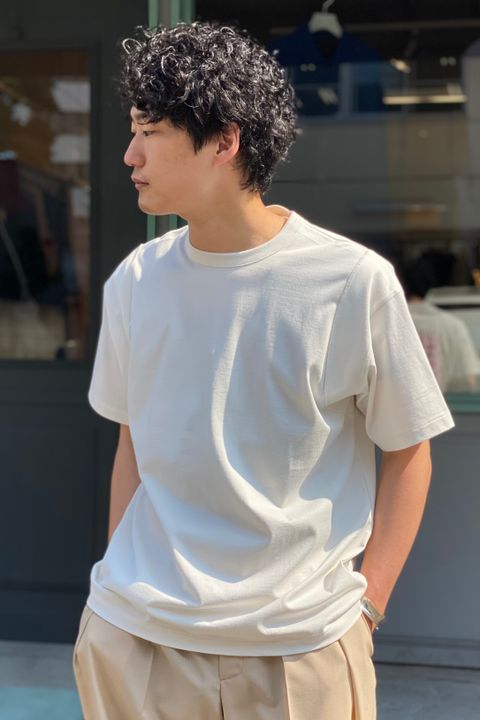 上品な白T / WEWILL