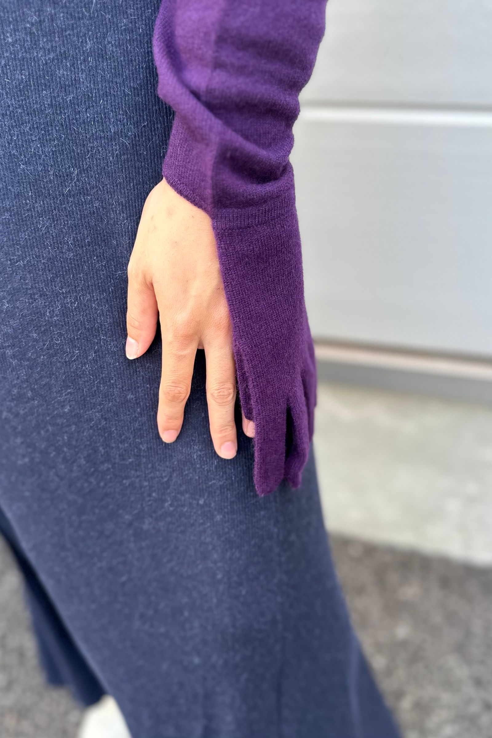 INSCRIRE - Hoodie×Glove×Stall -purple- 23aw women | asterisk