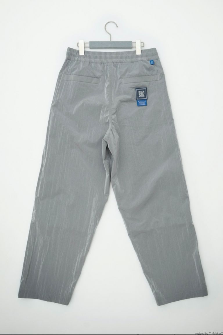FUMITO GANRYU - easy nylon slacks -silver- 22aw | asterisk