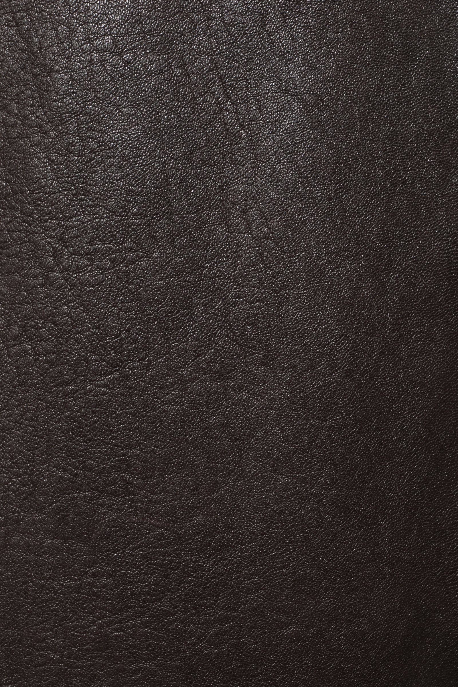 【数量限定】JURI SP NUOVA ZELANDA ニュージーランド産 ラムレザー シングル ライダース レザージャケット  / MARRON ダークブラウン