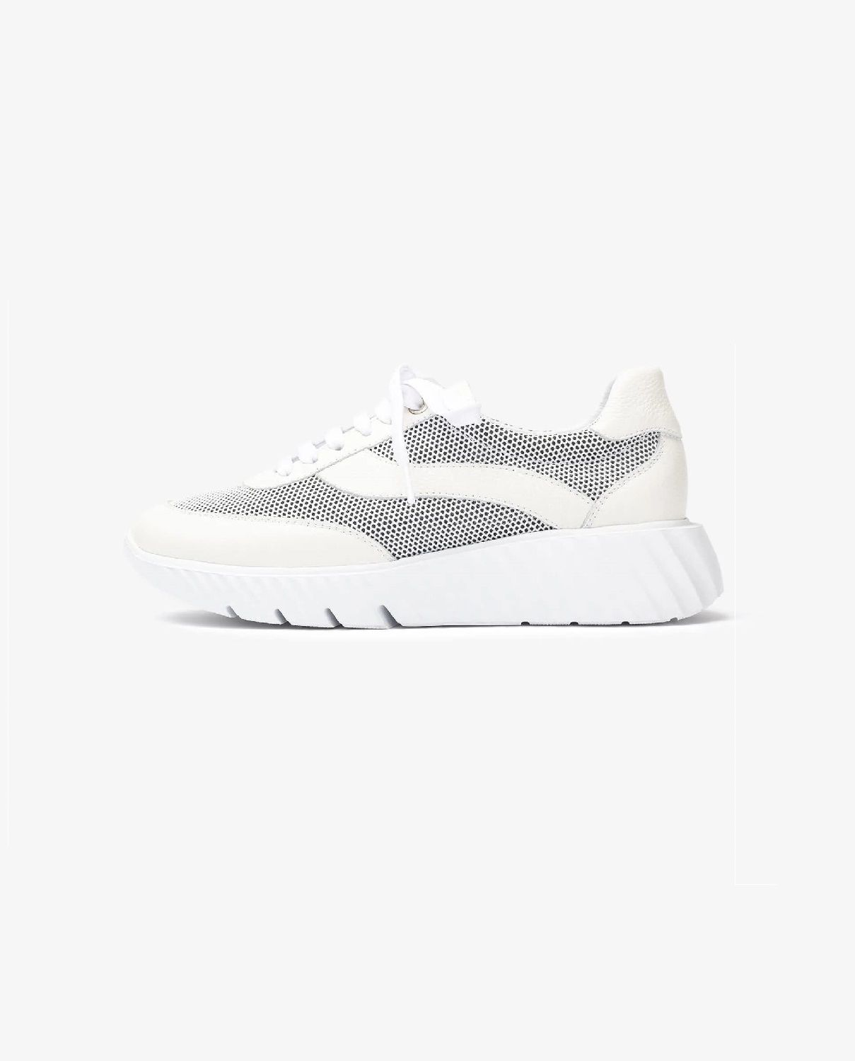 EDY 厚底 レザー メッシュ 異素材 スニーカー ヒール5.5 / ホワイト
