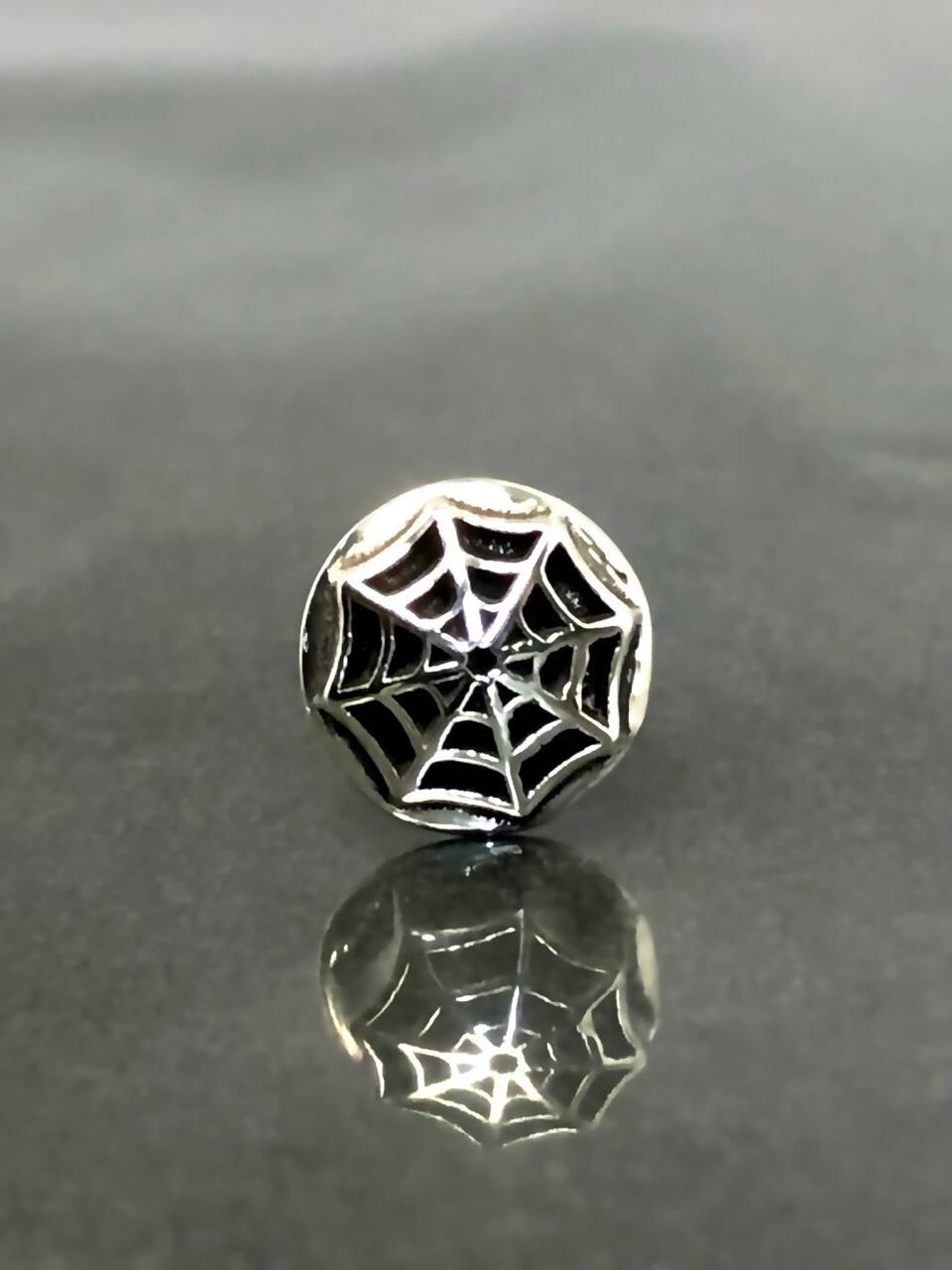 《受注生産》 SPIDER WEB STUD / スパイダーウェブピアス 【注文から2～3週間後入荷予定】