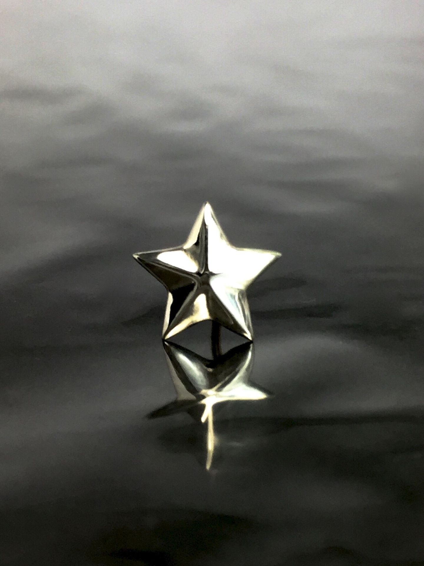 《受注生産》 STAR STUD / スターピアス 【注文から2～3週間後入荷予定】