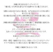 《予約・受注品》ショートスニーカー ブーゲンビリア（22㎝〜31.5㎝） 【tenbo】納期2～4週間後