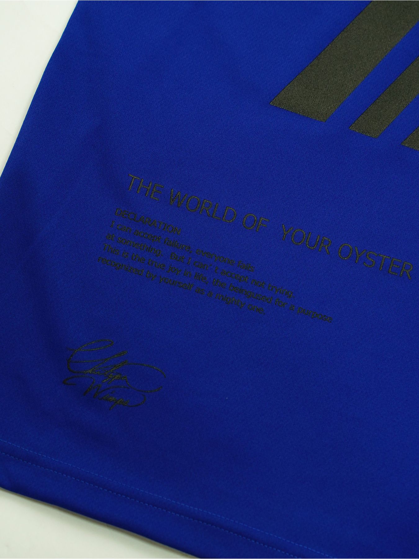 EGO TRIPPING TRAINING TEE / トレーニングウェア / ブルー×ブラック