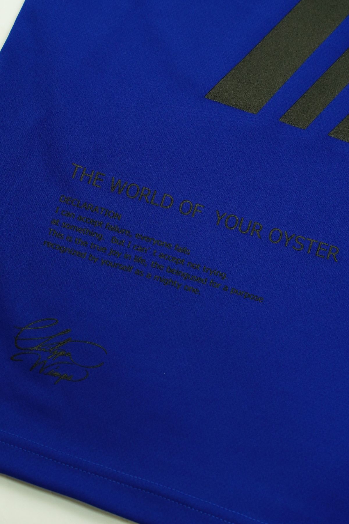 EGO TRIPPING TRAINING TEE スポーツウェア / 82:BLUE×BK 【EGO TRIPPING】