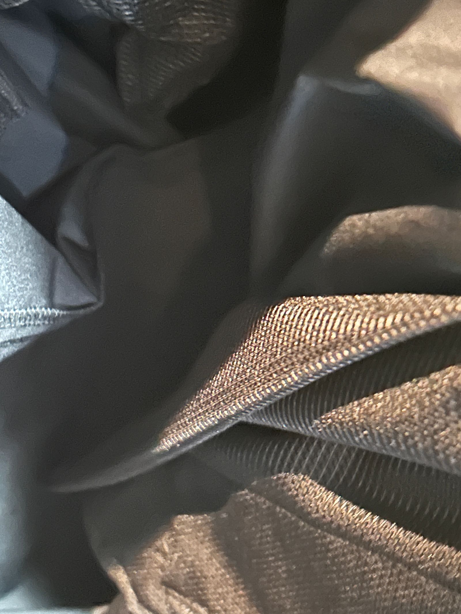 tuck rib pants / タックリブパンツ / モノプリント