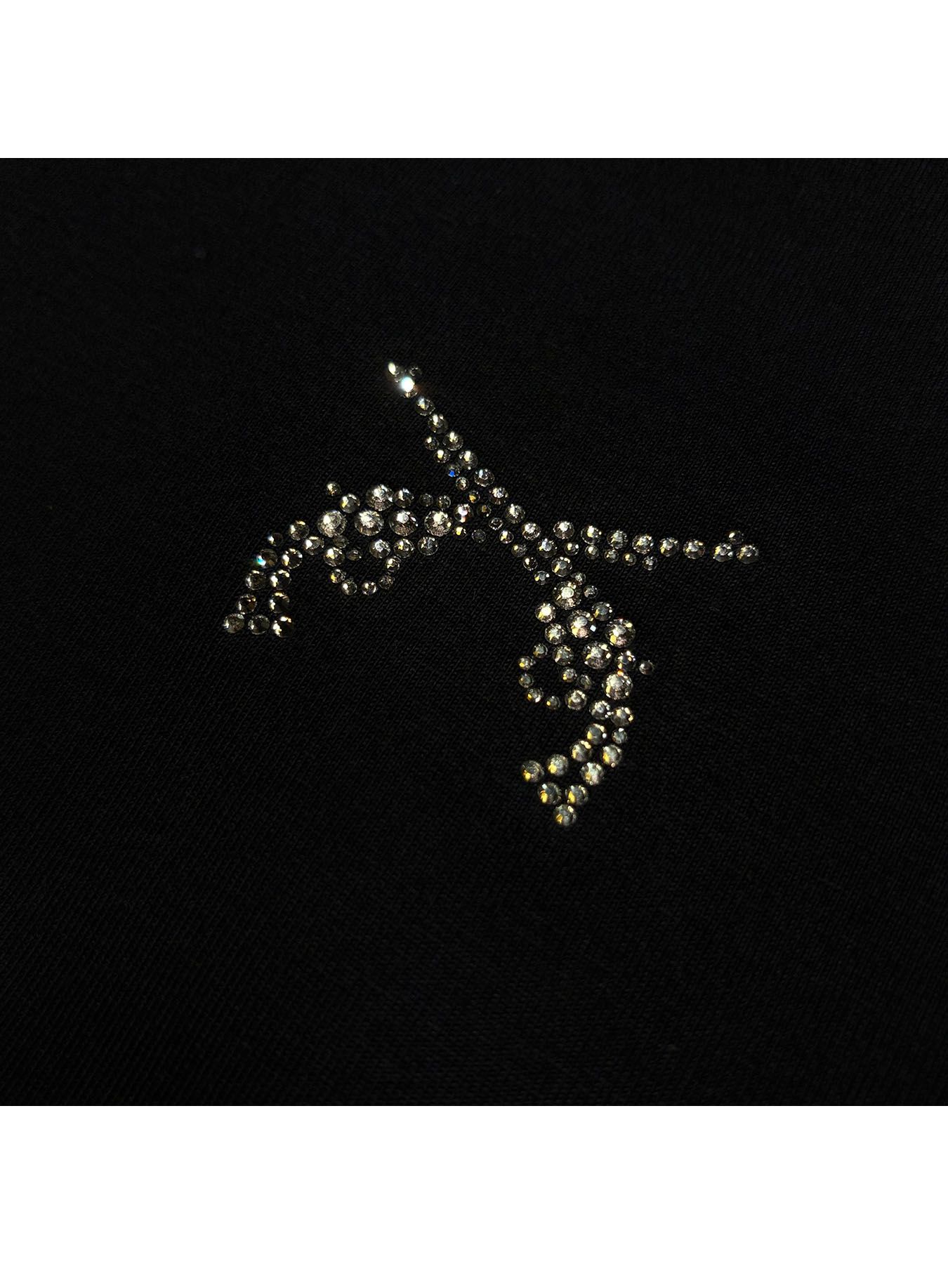 【予約品 3月9日(月) 18:00 締切】ORG/CO S/TEE MESS/SW / メッセージプリント クリスタルクロスガン オーガニックコットン Tシャツ / ブラック