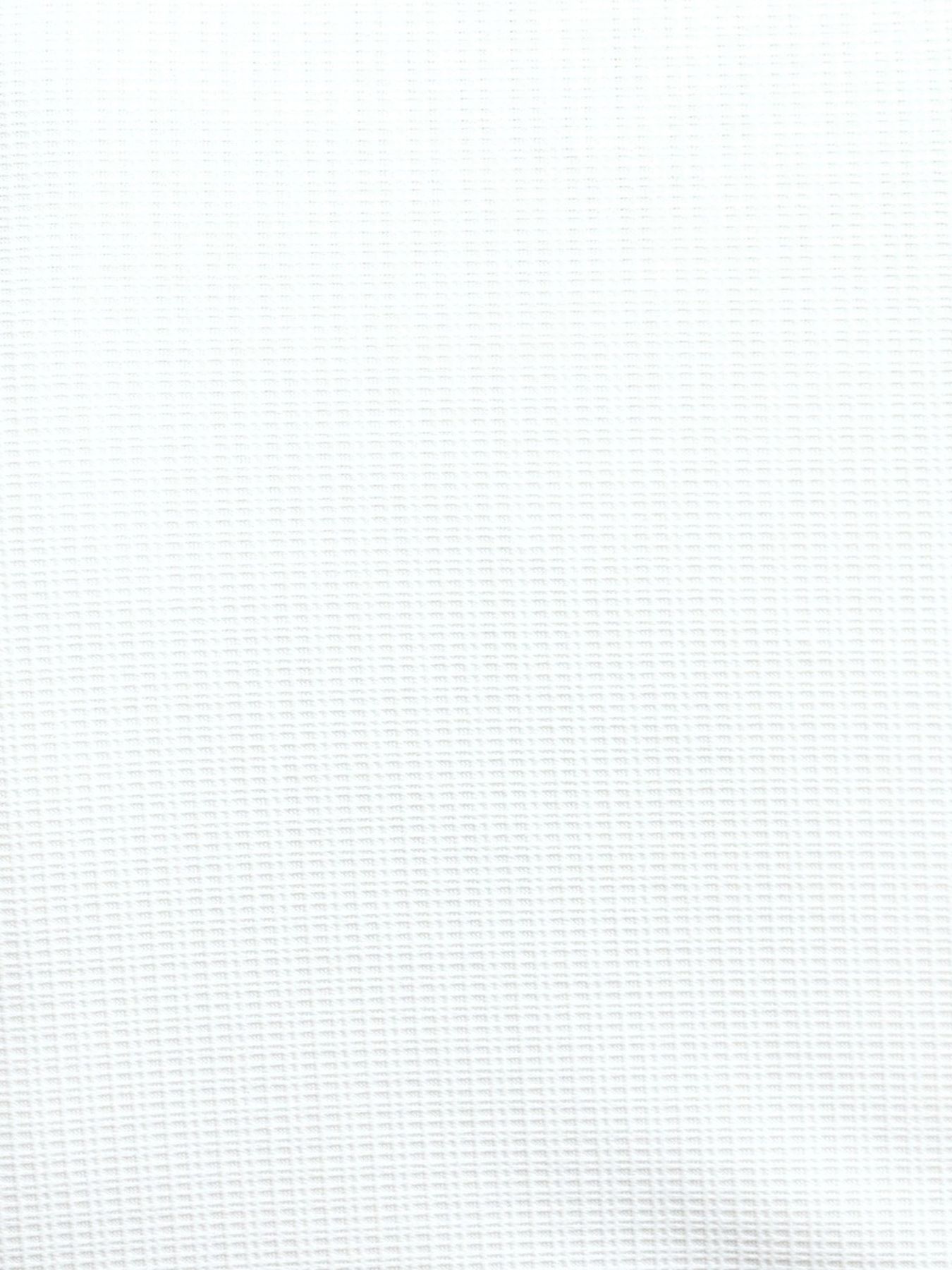 シアーマイクロチェックレギュラーカラーシャツ / ホワイト 【HIDEAWAYS BLACK】