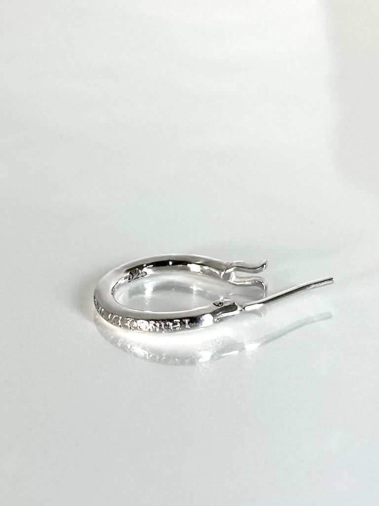 《受注生産》 THIN HOOP raised by wolves ピアス / 注文から2～3週間後入荷予定