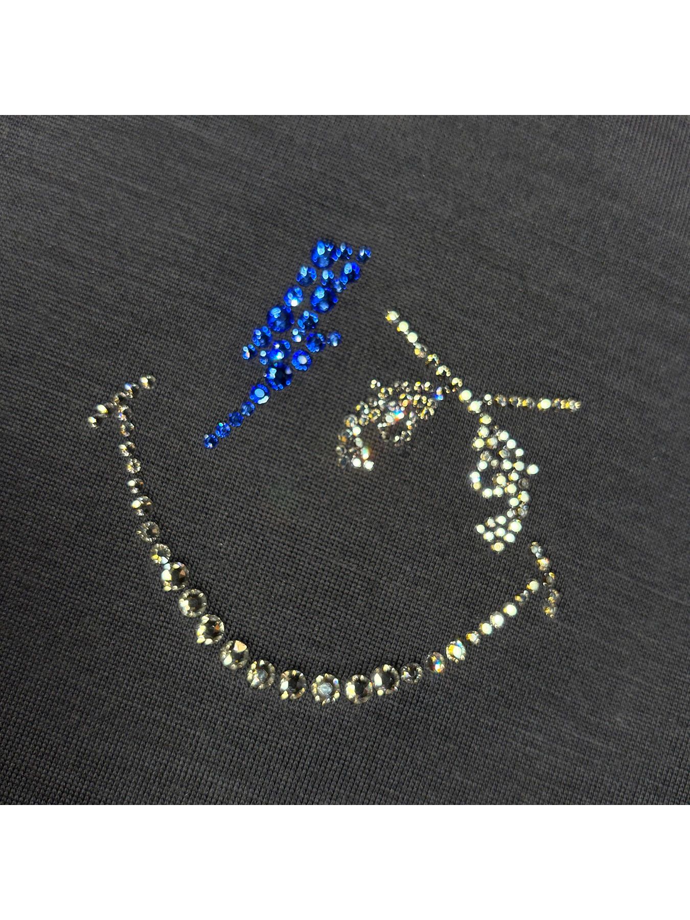 【予約品 3月9日(月) 18:00 締切】WO/JER S/TEE SMI/SWA / ウールジャージ スワロフスキー スマイル Tシャツ / グレー