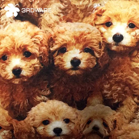 [3RDWARE] toy poodle ボクサーパンツ