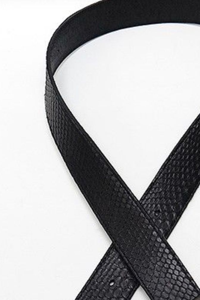 Belt ベルト Python軸単品 / Black 【kiryuyrik】
