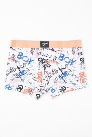 ZEBRA&PAINT 2PAC BOXER BRIEFS ボクサーパンツ / マルチブルー