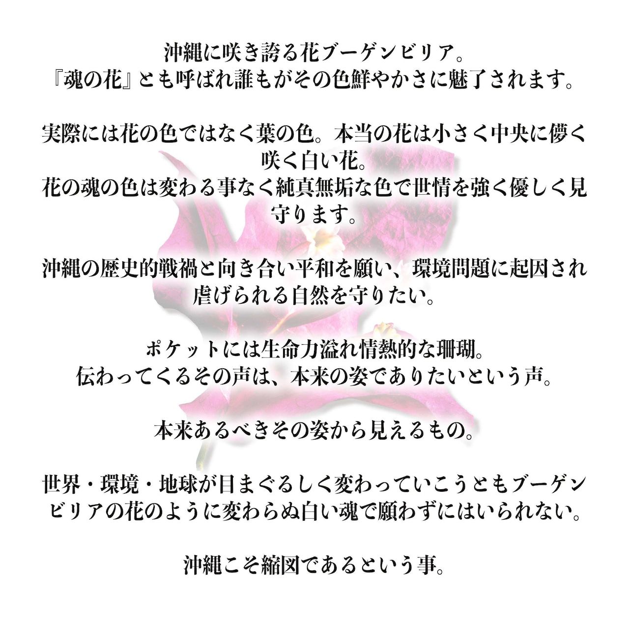 《予約・受注品》納期2~3週間後長財布 ブーゲンビリアマイクロファイバーレザー 【tenbo】