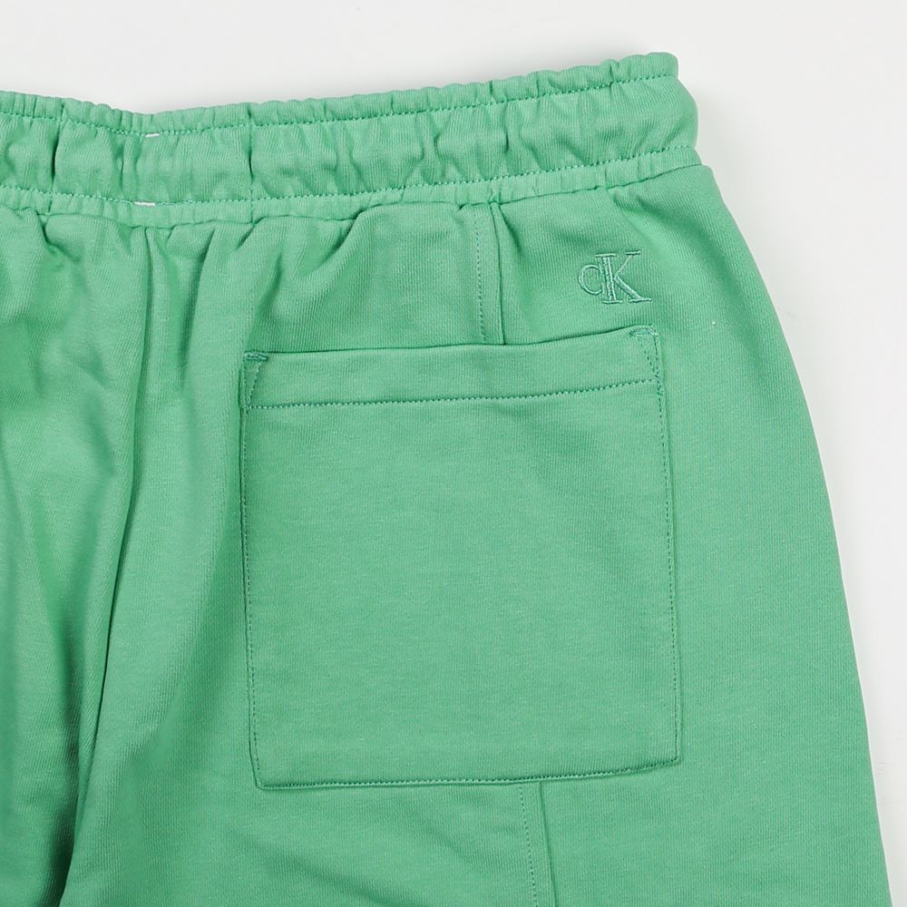 A- SEASONAL MNGM HWK SHORTS / ショートパンツ / J323189