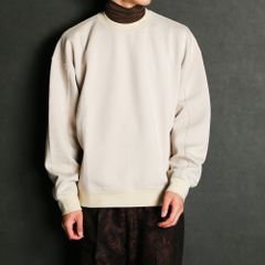 TECH KNIT W AIR P/O CS / ダンボールニット スウェット / 179206