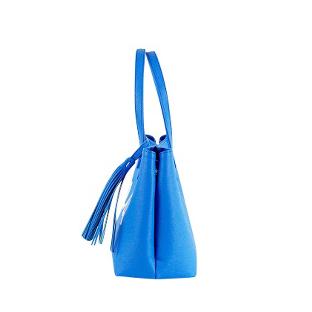 Mini Tote Bag ： Blue / ミニトート カートバッグ ブルー