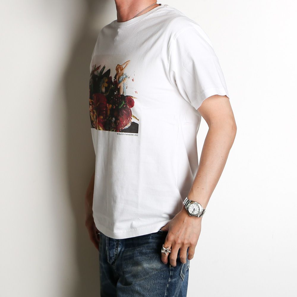 Araki Nobuyoshi×Stie-lo AI ELEGY-PARADISE T-SH / 23MND-STL005