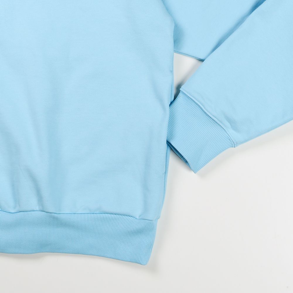 BIG SILHOUETTE HOODIE / プルオーバー パーカー / 12002