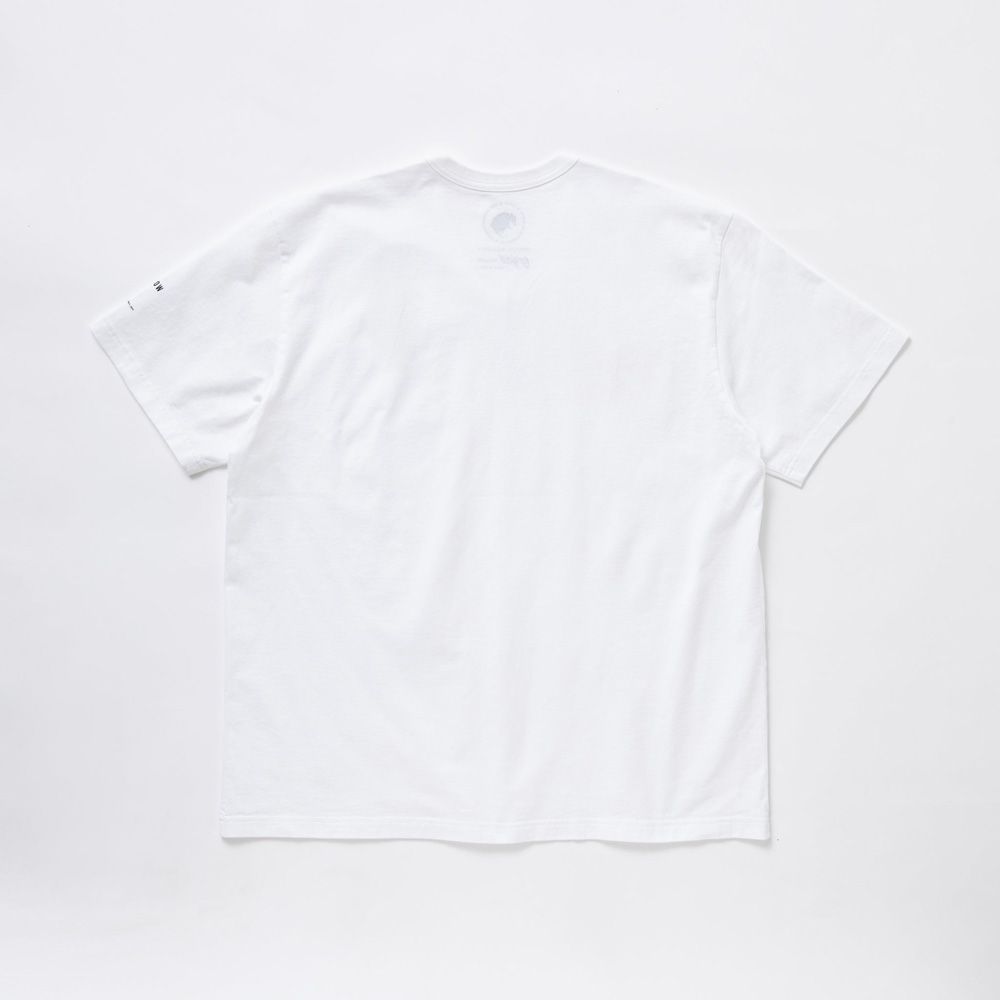PACK TEE REGULAR SILHOUETEE (CREW NECK) - WHITE / Tシャツ / 24'RT-0404A