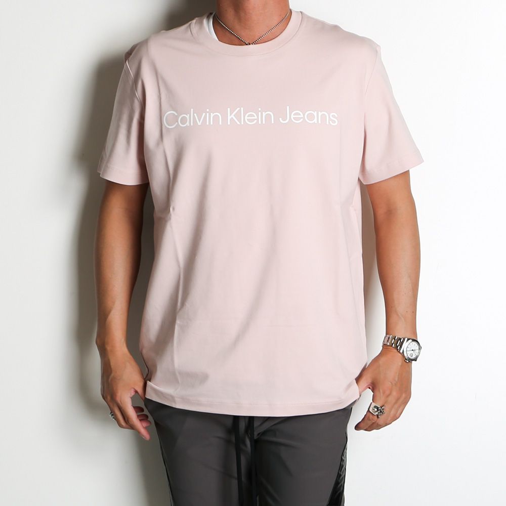 【ラスト1点-サイズXL】 A- SS REG INSTIT LOGO TEE - SEPIA ROSE / Tシャツ / J321612