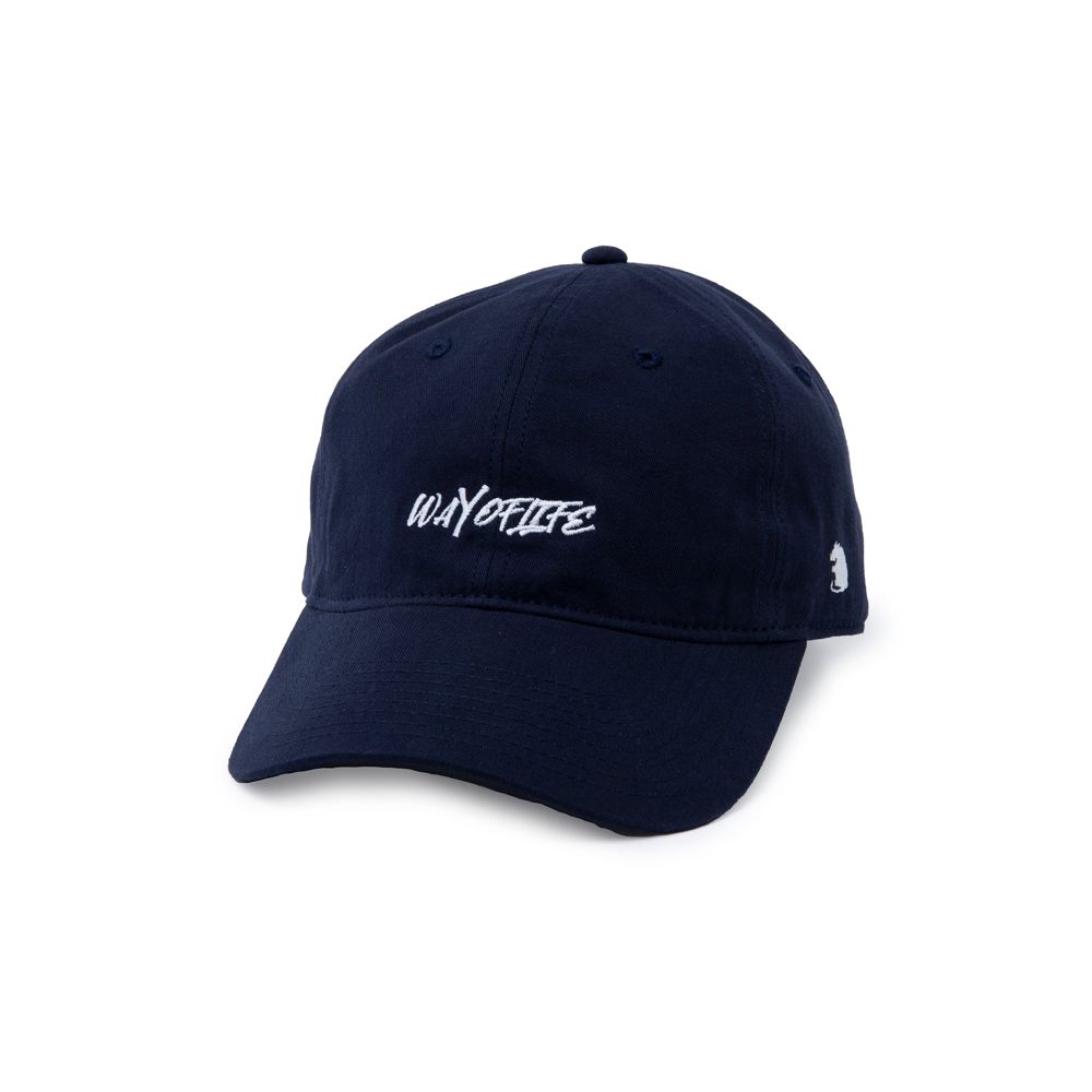 SCRIPT BASE BALL CAP / ベースボールキャップ - ネイビー / 22'RA-0413