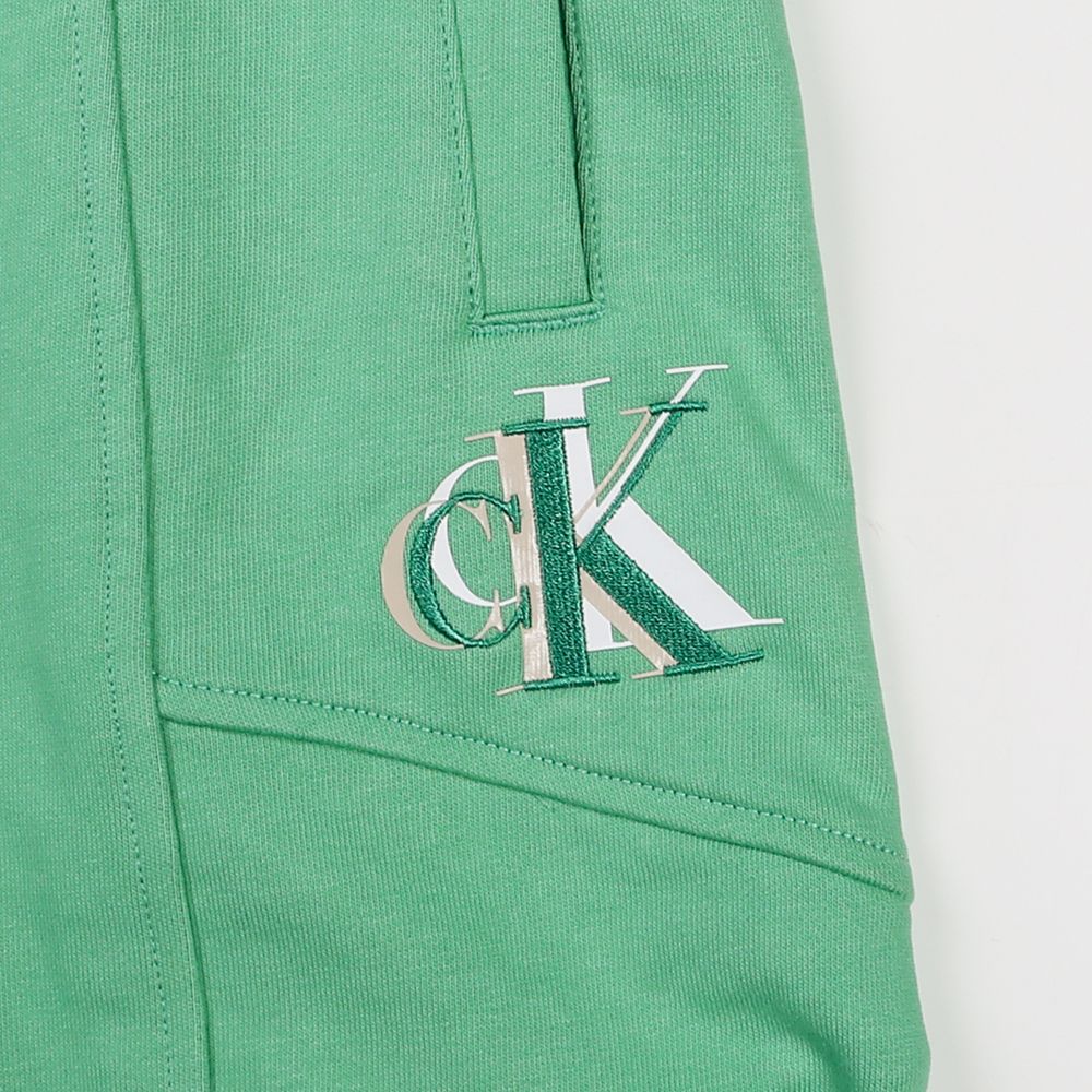 A- SEASONAL MNGM HWK SHORTS / ショートパンツ / J323189