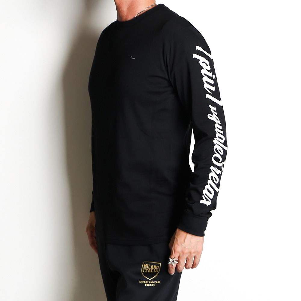 LONG SLEEVE T-SHIRT / スリーブロゴ Tシャツ / UST-23055