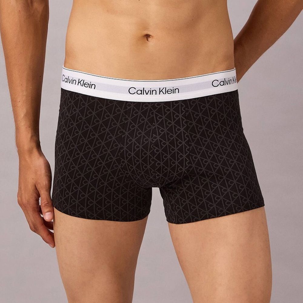 2 Pack Trunk - Icon Cotton Stretch / NB4391 - 2W3