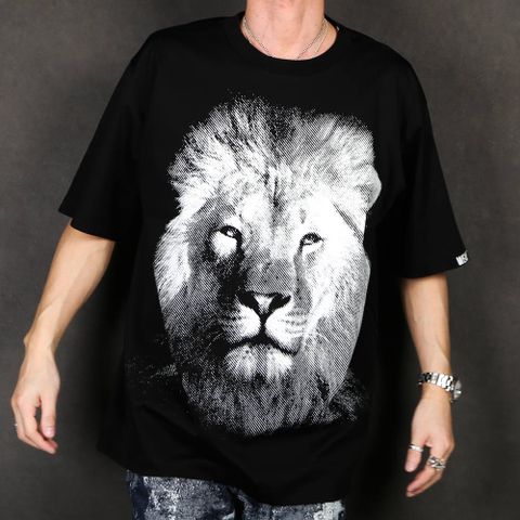 "SEASON T-SHIRTS" LION T / グラフィック Tシャツ / TA20SS-JR037