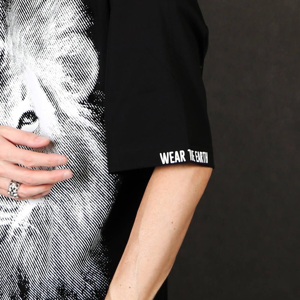 "SEASON T-SHIRTS" LION T / グラフィック Tシャツ / TA20SS-JR037