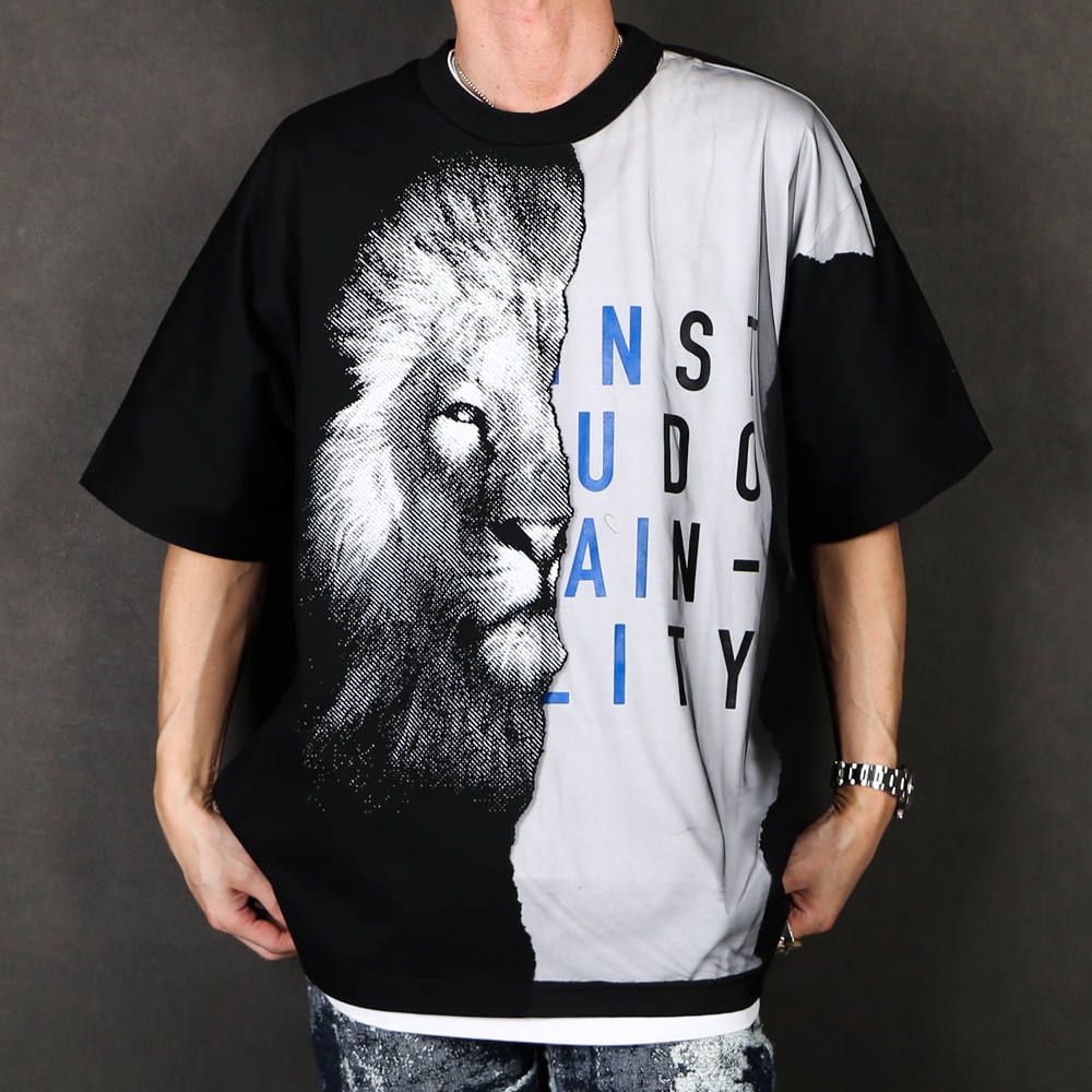 "LAYERED" SHEER T-SHIRTS / レイヤード Tシャツ / TA20SS-JR060