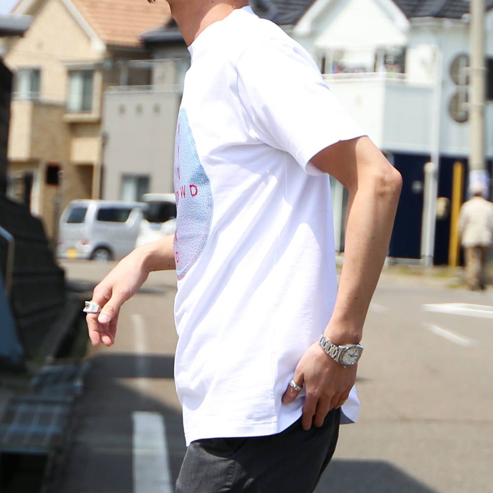 S/S T-SHIRTS / 1201-CS32-079 pieces