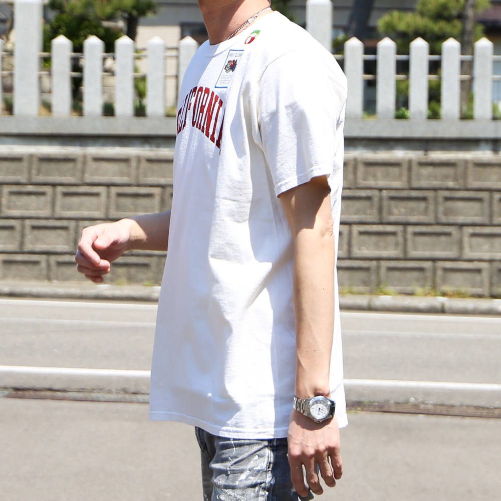 TMT×FRUIT OF THE LOOM FRUITS-DYED TEE(CALIFORNIA) / ショートスリーブ Tシャツ / TCS-S20FL04
