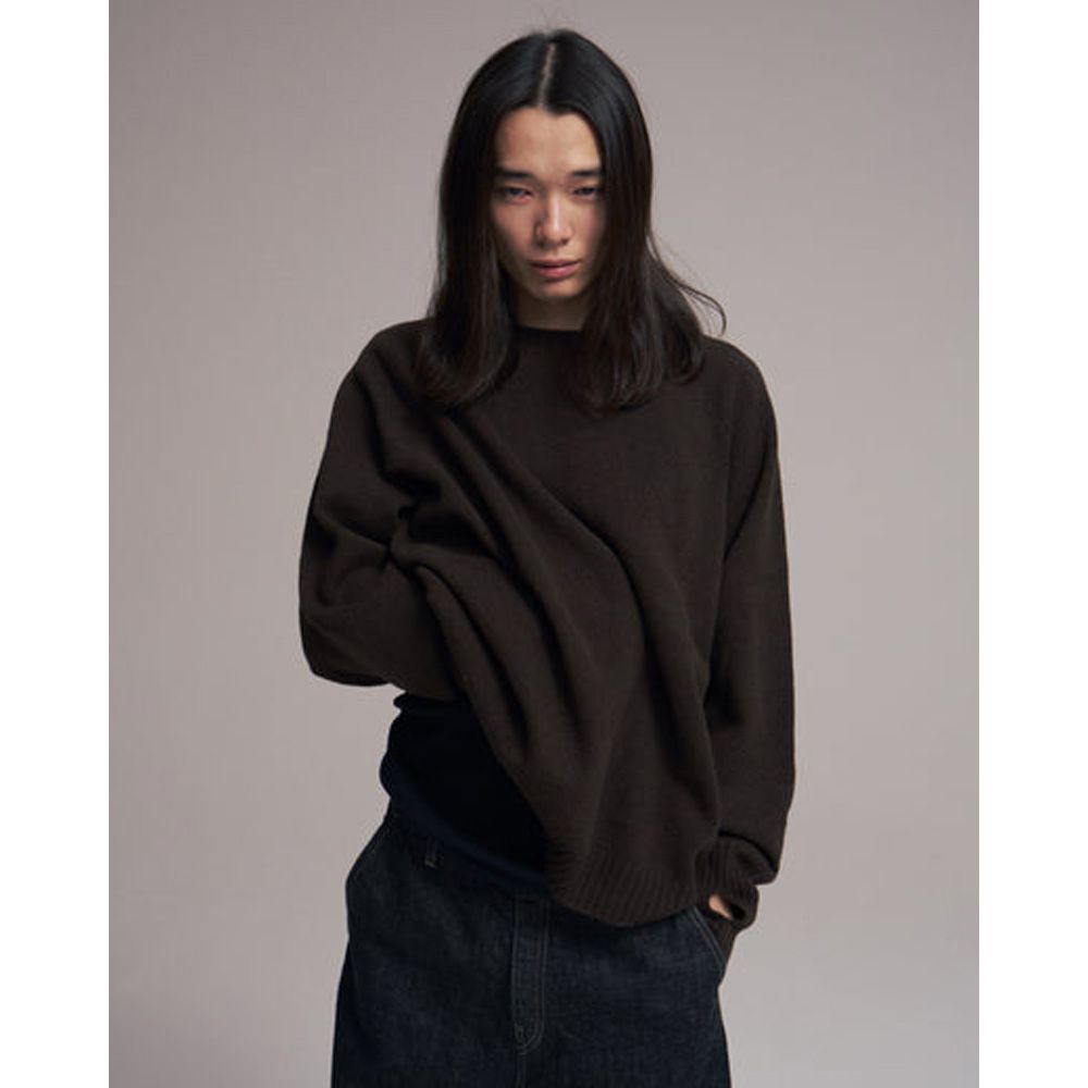 Wholegarment knit sweater - Wool & cashmere & silk - Brown / ホールガーメント クルーネックセーター - ウール & カシミヤ & シルク / SNKN-001D