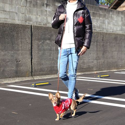 愛犬との散歩スタイル。