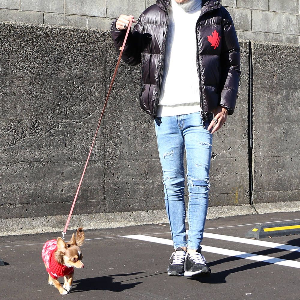 愛犬との散歩スタイル。