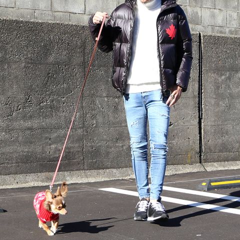 愛犬との散歩スタイル。
