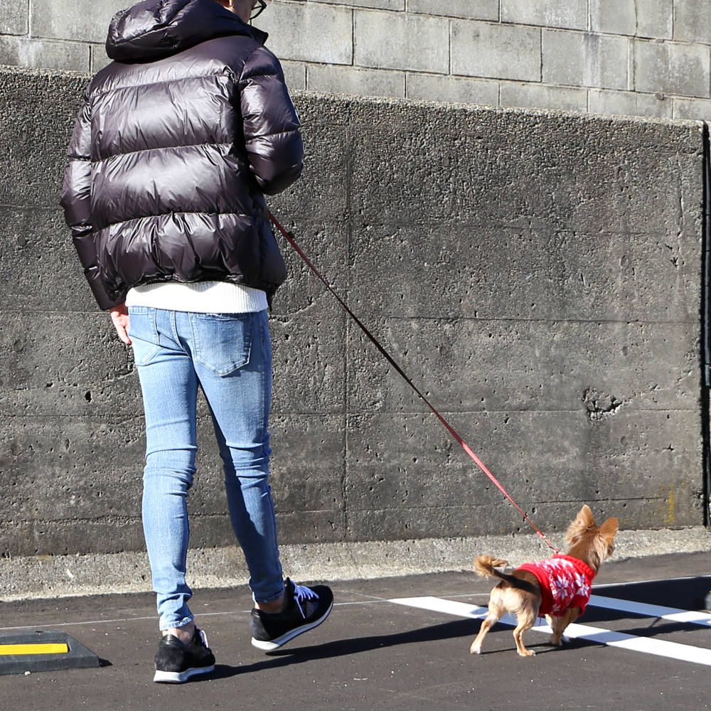 愛犬との散歩スタイル。