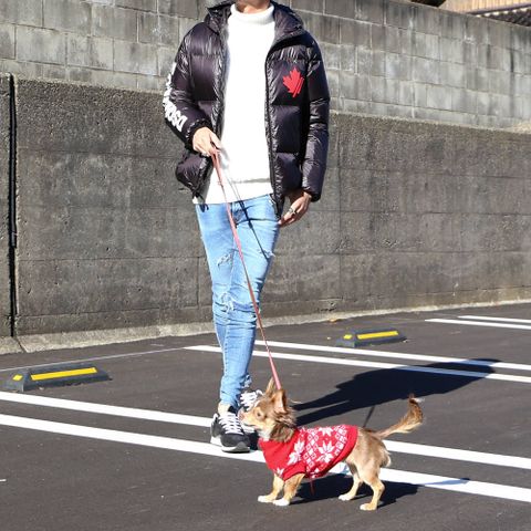 愛犬との散歩スタイル。