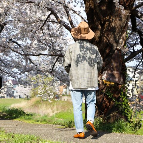STYLE NO. 3060